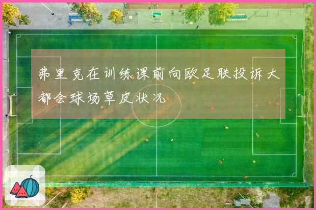 弗里克在训练课前向欧足联投诉大都会球场草皮状况