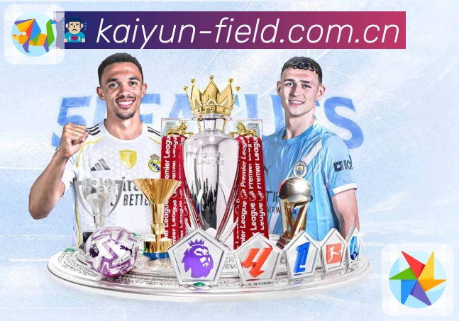 开云平台展示图